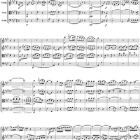 Flute Quartet No. 4, Movement 3 - Score