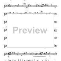 Radetzky Marsch - Flute