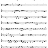 Flute Concerto in G Major, Op. 10, No. 6 - Viola