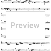 Flute Concerto in F Major, Op. 10, No. 1 ("La Tempesta di Mare") - Cello