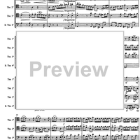 Allegro from a minor concerto - Score