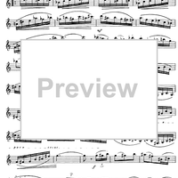 Preliminary studies to 'The Accomplished Clarinettist' Vol. 3 - Clarinet