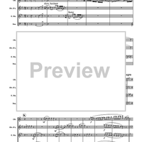 Turkey in the Straw - Score