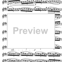 The Accomplished Clarinettist Vol. 1 - Clarinet