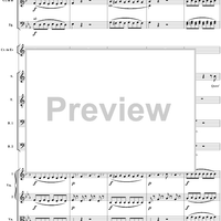 "Dite almeno in che mancai?" K479 - Full Score