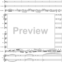 Violin Concerto No. 6 - Full Score