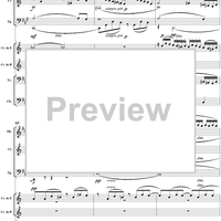 Serenade in D Minor, Op. 44, B77, Movement 3 - Score