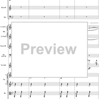 Violin Concerto No. 1, Movement 1 - Score