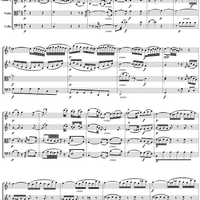 Quartet No. 20, Movement 3 - Score