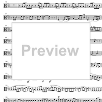 Divertimento No.17 D Major KV334 - Viola