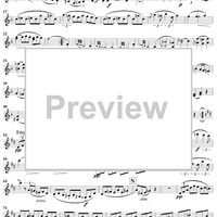 Violin Duet No. 13 in D Major, Op. 150 - Violin 1