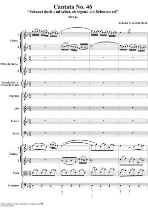 Cantata No. 46: Schauet doch und sehet, ob irgend ein Schmerz sei, BWV46