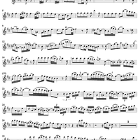 Flute Sonata No. 1 in B Minor, BWV1030 - Flute