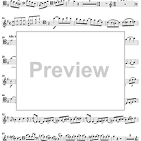 String Bass Concerto - Bass