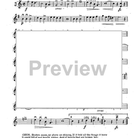 Mandolin & Guitar Collection No. 22 - Mandolin Solo