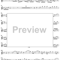 Trio Sonata in C Major  QV 2: Ahn. 3 - Flute