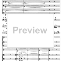 Contrabbasso concertante - Score