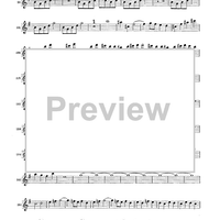 Double Concerto for Recorder and Flute in E minor - Flauto Traverso (Flute)