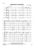 Sheehan’s Pub Band - Score