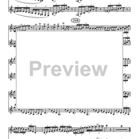 Andante And Hungarian Rondo - Euphonium