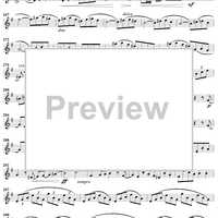 Grand Duo in D Major, Op. 39, No. 1 - Flute 2