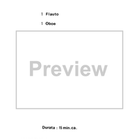 Divertimento - Notes