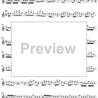 Sonata No. 17 in A Minor - Flute