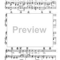 A Shine on Your Shoes