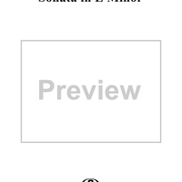 Sonata in E Minor - Flute