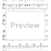 Sunshine, Lollipops and Rainbows