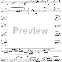 Clarinet Concerto No. 2 in E-flat Major, Op. 74 - Clarinet