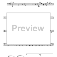 Reflections Of Life - Bassoon