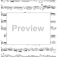 Duo No. 1 in C Major - Violin