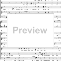 Cruel Behold My Heavy Ending