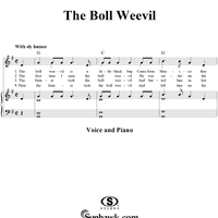 The Boll Weevil
