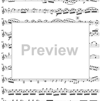 Duo No. 2 in D Major - Violin