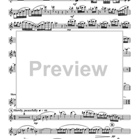 The Frog and the Golden Ball - Flute