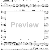 Viola d'Amore Concerto in G Major - Viola