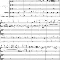 Brandenburg Concerto No. 6: Movement 2 - Score