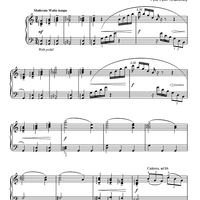 The Nutcracker. Waltz Of The Flowers