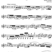 Capriccio No.29 B Major