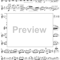 String Quartet No. 12 in F Major, Op. 96 - Violin 1