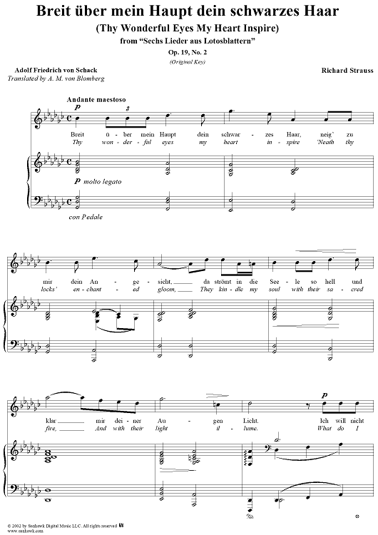 Six Lieder aus Lotosblattern, Op.19, No. 2: Breit über mein Haupt dein schwarzes Haar (Thy wonderful eyes my heart inspire)