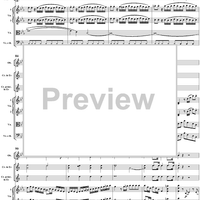 Horn Concerto No. 4 in E-flat Major, K495