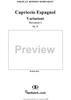 Capriccio Espagnol, Op. 34, II. Variazioni