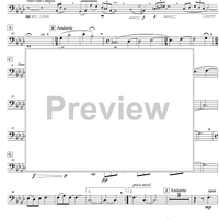 In the Evening - Bass Trombone