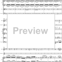 Horn Concerto No. 1 in D Major, K386b (K412 & K514)