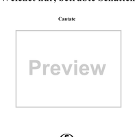 Weichet nur, betrübte Schatten, BWV202