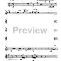 Dedica IV (a Goffredo Petrassi) - Flute