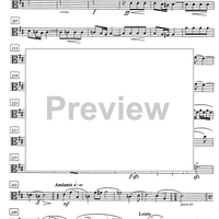 String quartet No. 2 - Viola